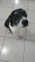 Johnie