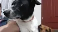Johnie