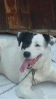 Jack
