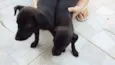 nao tem