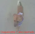 Coqueirinho