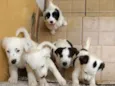 Kika e família