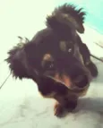 zeca
