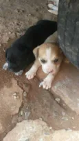Não tem