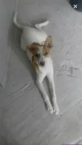 Mel 