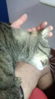 Mel