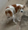 Bob