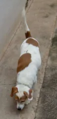 Bob