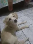 Mel