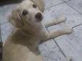 Mel