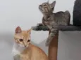 Valentina e Sophia