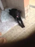 Bili