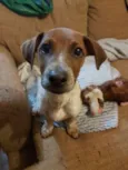 Milo