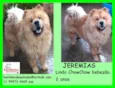 Jeremias