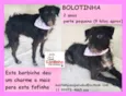 Bolotinha Pequena