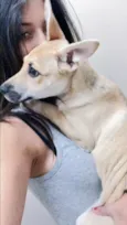 Elsa