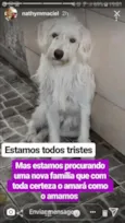Bemol