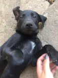 FILHOTE MUITO FOFO!