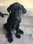 FILHOTE MUITO FOFO!