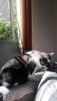Frederico