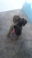 Sorriso