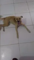 Chiquinha