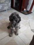 Billy
