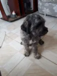 Billy