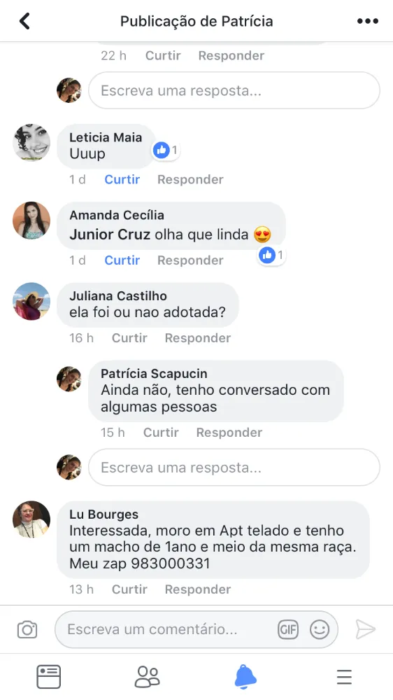 Gato ra a SRD idade 2 a 6 meses nome LEOPOLDO