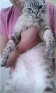 Nick