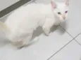 Frida