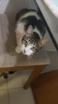 Oliver