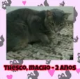 Thesco
