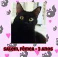 Salem