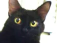 Salem