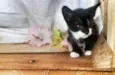 Tom