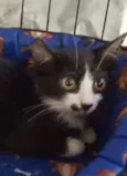 Tom