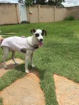 Lili