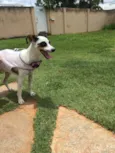 Lili