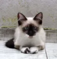 Charlie