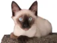Alby