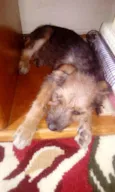 Ragnar e Astrid