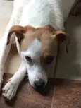 Frida