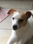 Frida