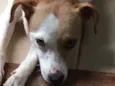 Frida