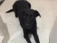 Eros