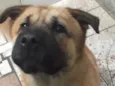 Bebê