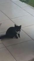 Sn