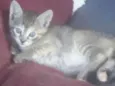 Sn