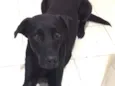 Eros